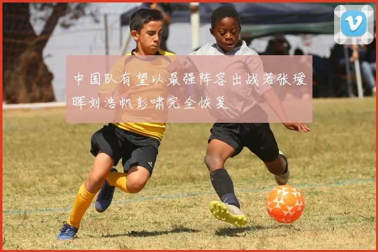 中国队有望以最强阵容出战若张瑷晖刘浩帆彭啸完全恢复
